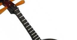Plucked-Strings