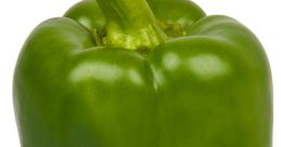 Pepper