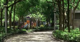 Public-Park