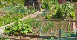 Allotment