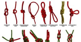 Knot
