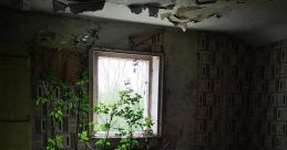 Abadoned