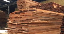Madera
