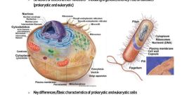 Biology