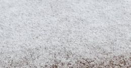 Sleet