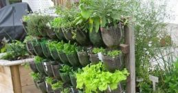 Gardening