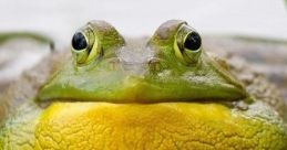 Croaking
