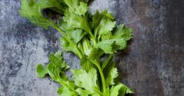 Celery
