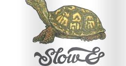 Steady