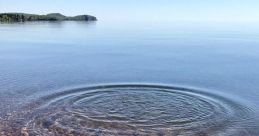 Ripple