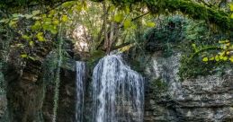 Cascade