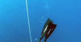 Dive