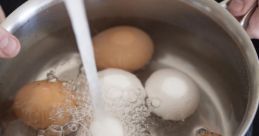 Boil