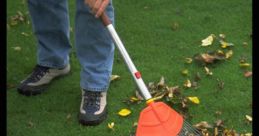 Raking