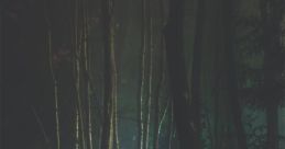 Feral
