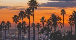 Boulevard The bustling of the Boulevard S are a cacophony of claps, a few people showcasing their appreciation for a