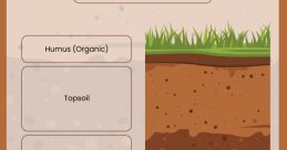 Soil
