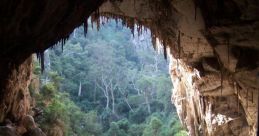 Australian-Caves