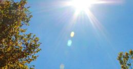 Sunshine