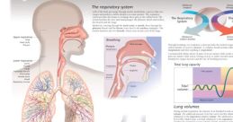 Respiration