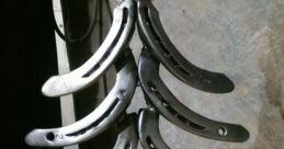 Horseshoe