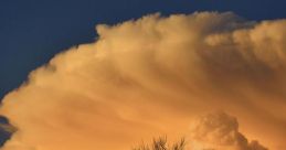 Thunder-Roll