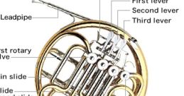 F-Horn