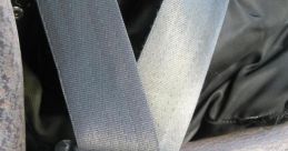 Seatbelt