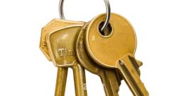 Bunch-Of-Keys