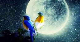 Good-Night