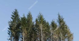Open-Hillside
