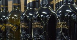 Wine-Bottle