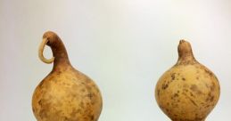 Gourd