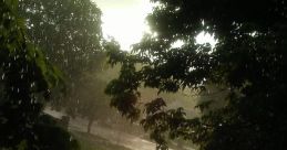 Summer-Rain