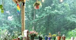 Front-Porch-Rain