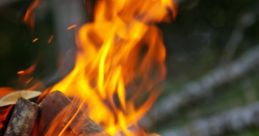 Campfire