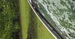 Windshield