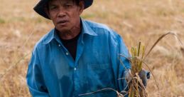 Farmer
