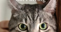Cat-Purr