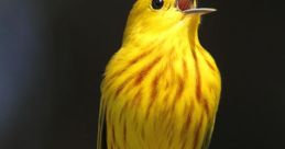 Bird-Calls