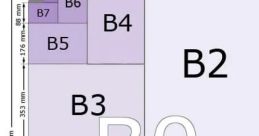 B-Format