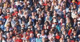 Large-Crowd