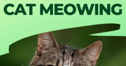 Meows