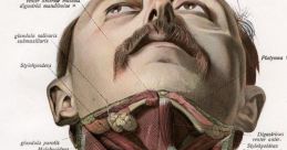 Neck