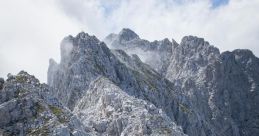 Alp