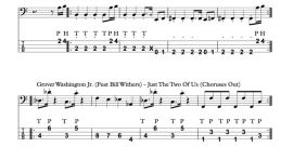 Bass-Line