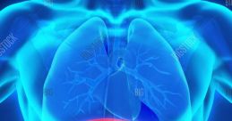 Diaphragm