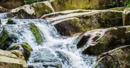 Harz