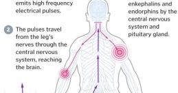 Pulsing