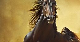 Gallop
